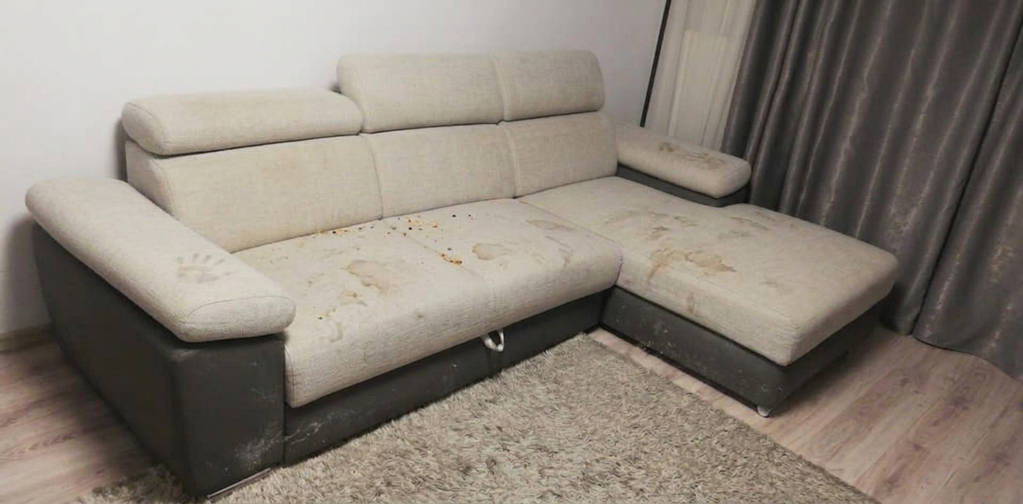 curatare canapea before clean tech